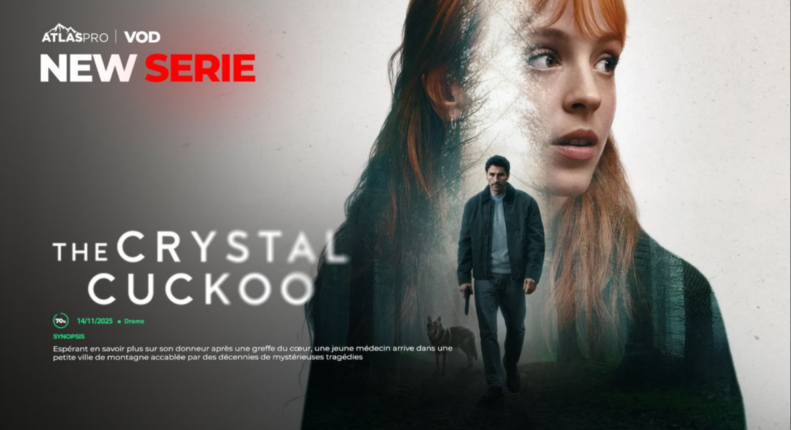 Nouvelles Séries IPTV The Fox France